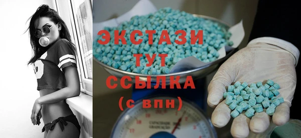 индика Вязьма