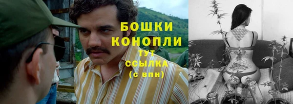 индика Вязьма