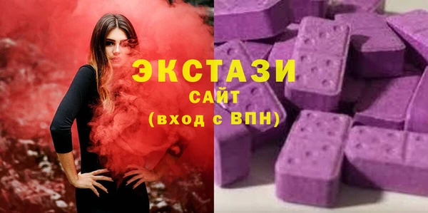 индика Вязьма