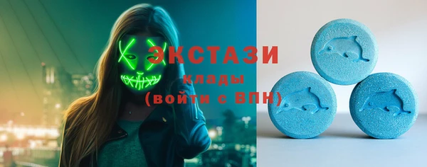 индика Вязьма