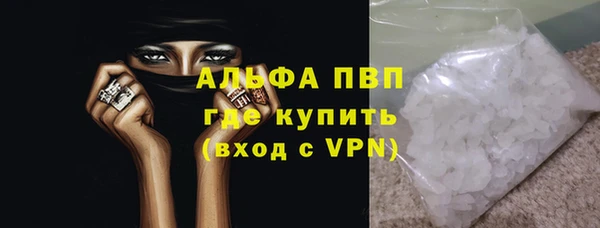 PSILOCYBIN Вязники