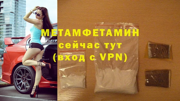 индика Вязьма