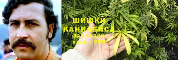 индика Вязьма