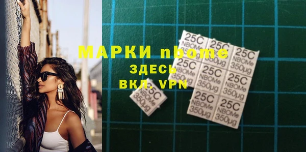 индика Вязьма