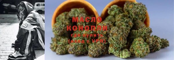 индика Вязьма