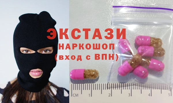 индика Вязьма