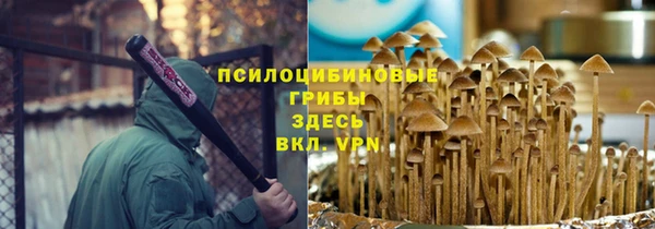 PSILOCYBIN Вязники